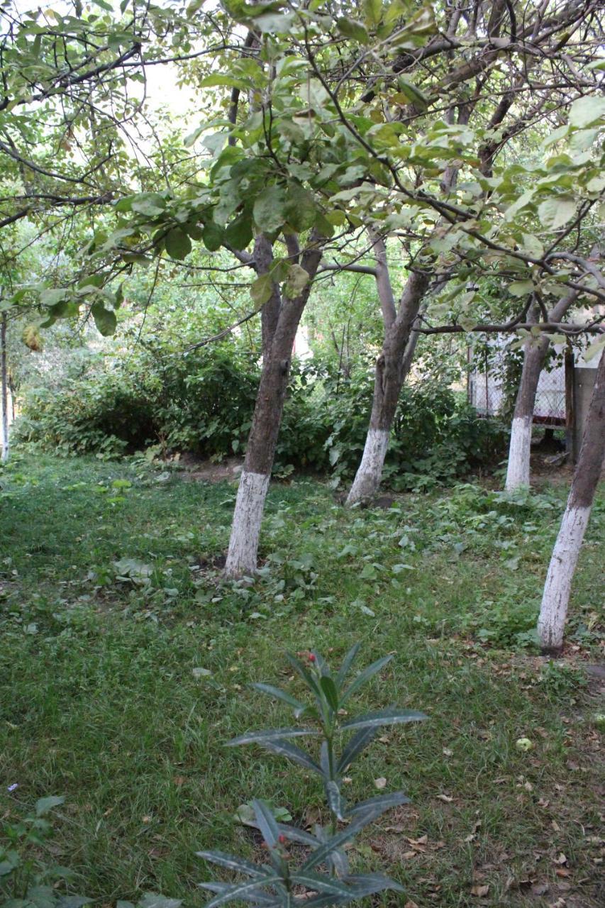 Riverside Khorog Bagian luar foto